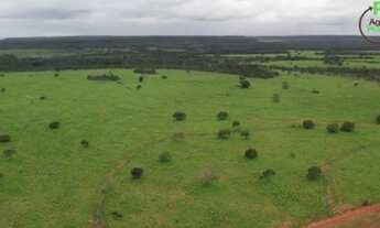 Imagem: Fazenda em Goiatins. 73 mil por alqueire