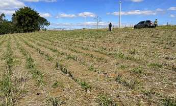 Imagem 5: Tudo que você procura está aqui