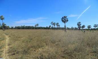 Imagem 8: 1554 ha. Solar. Eólica. Gado. Irrigação. Rio São Francisco. Oportunidade.