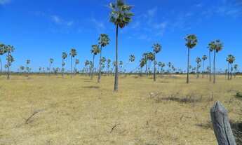 Imagem 12: 1554 ha. Solar. Eólica. Gado. Irrigação. Rio São Francisco. Oportunidade.