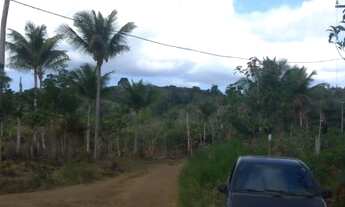 Imagem 3: Oportunidade ! Lindo terreno em Itacaré - Bahia