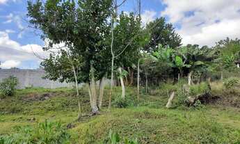 Imagem 3: Fazenda/Sítio/Chácara para venda possui 1500 metros quadrados com 2 quartos em Centro - Ca