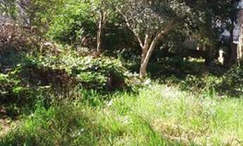 Imagem 3: Casa Bairro Lider