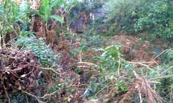 Imagem 2: Terreno para vender na Costa de Dentro