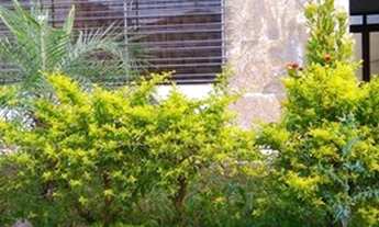 Imagem 3: SOBRADO - ÁGUA RASA - SP