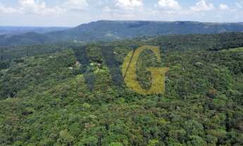 Imagem 7: Terreno para Venda em Campo Largo, Faxina