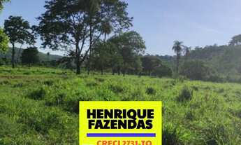 Imagem 6: Fazenda na região de Luzimangues dupla aptidão