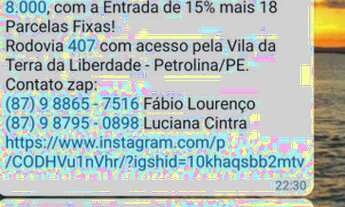 Imagem 4: Terrenos para Chácara