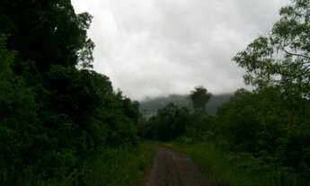 Imagem 6: Rolante - Terras / sítio/ Chácara 22.7 Hectares