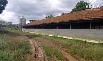 Imagem 4: Chácara à venda, 10000 m² por R$ 450.000 - Rural - Guaraniaçu/PR