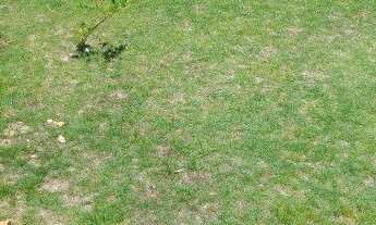 Imagem 4: Casa mobiliada em Jacaraipe 80 mil a vista