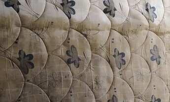 Imagem 5: Higienização de estofados em geral