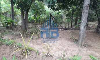 Imagem 2: PRESIDENTE BERNARDES - ChÃ¡cara - CHACARAS AGUIAR