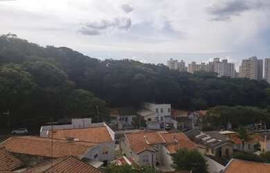 Imagem 2: Apartamento Residencial para locação, Bosque, Campinas - AP0250