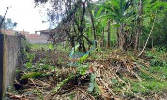 Imagem 2: Terreno para Venda em Caraguatatuba, Massaguaçu