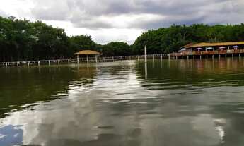 Imagem 3: Vende-se pesqueiro a 30 km de Goiânia