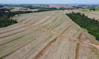 Imagem 7: Lote de Terras á venda na Região de Mandaguaçu-Pr