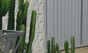 Imagem: Aluga-se uma casa da caixa no campo limpo