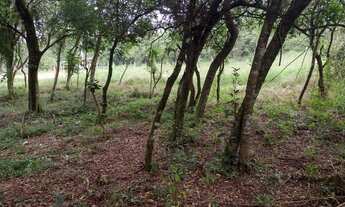 Imagem 6: Sítio em Viamão