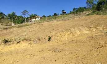 Imagem 5: Lote em granjeamento