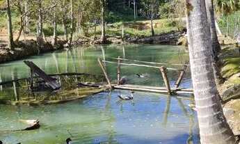 Imagem 7: Sítio com casa antiga, escritura publica, e riacho limpo!