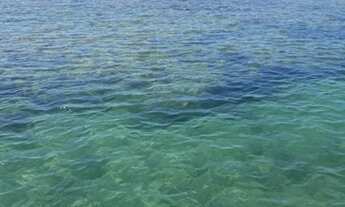 Imagem 3: Aluguel Casa por Temporada - Porto de Pedras, 03 quartos, 10 pessoas