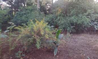 Imagem 2: Chacara de 9 Hectares. Banhada pelo Rio Jatobá