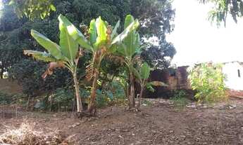 Imagem 4: Mini chácara em Corumbá de Goiás