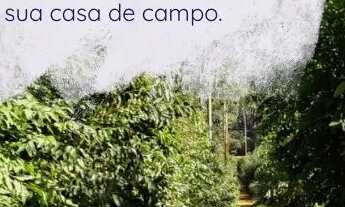 Imagem: Sítios disponíveis para construção em