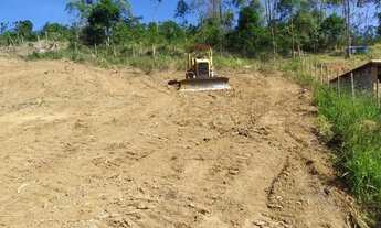 Imagem 2: Lote em granjeamento