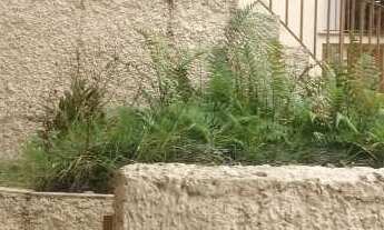 Imagem 2: Sobrado com 3 dorms, Vila Progredior, São Paulo - R$ 1.3 mi, Cod: 2375