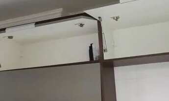 Imagem 5: Alugo Apartamento Serraria