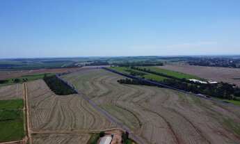 Imagem 6: Lote de Terras á venda na Região de Mandaguaçu-Pr