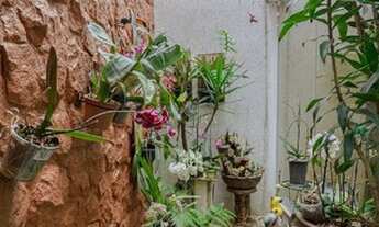 Imagem 5: Maravilhoso sobrado no Bairro Guiomar !