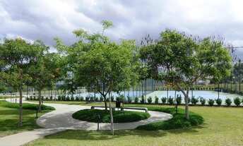 Imagem 6: Terras Alphavile - Venda