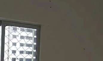 Imagem 6: Excelente apartamento no Cabula