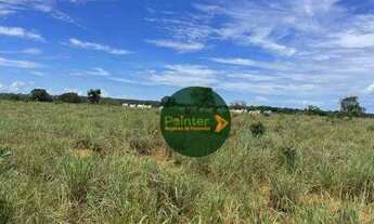 Imagem 4: Fazenda com 2 dormitórios à venda, 8712000 m² por R$ 17.100.000 - Zona Rural - Porangatu/G