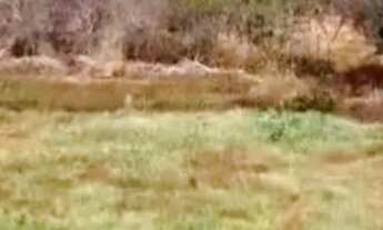 Imagem 6: Fazenda Pra Fruticultura....Área 1500 Hectares..