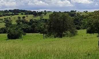 Imagem 4: Chácara em Pontalina