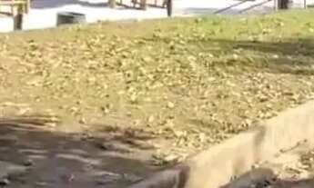 Imagem: Lote Corumbá 4