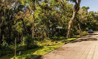 Imagem: TERRENO CONDOMÍNIO PINHEIRO GROSSO