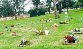 Imagem 3: Terrenos Jardim da Paz