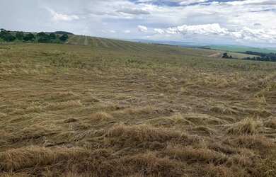 Imagem 4: Fazenda a venda em Ipameri - Goiás!!!