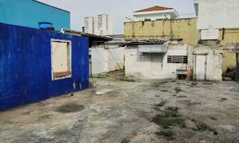 Imagem 2: Terreno para alugar com 220m² - Butantã - FL63