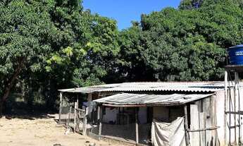 Imagem: A M IMOVEIS VENDE EXELENTE FAZENDA 180HECTARES