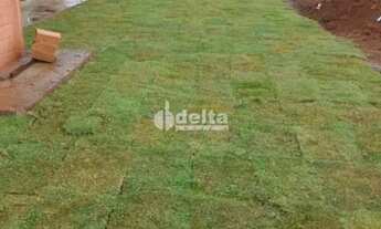 Imagem 7: Área com 25.000m² disponível para venda no bairro Represa de Miranda em Uberlândia-MG