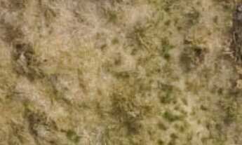 Imagem 4: Terreno colonial2 a 300 metros da Raposo Tavares