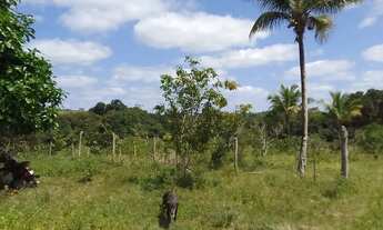 Imagem 6: Fazenda Fazenda / sítio com venda por R$15.000