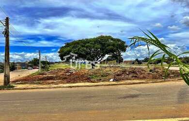 Imagem 6: 0 - Terreno Residencial