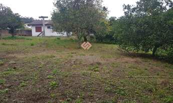 Imagem 7: Terreno Bairro Cachoeira do Bom Jesus